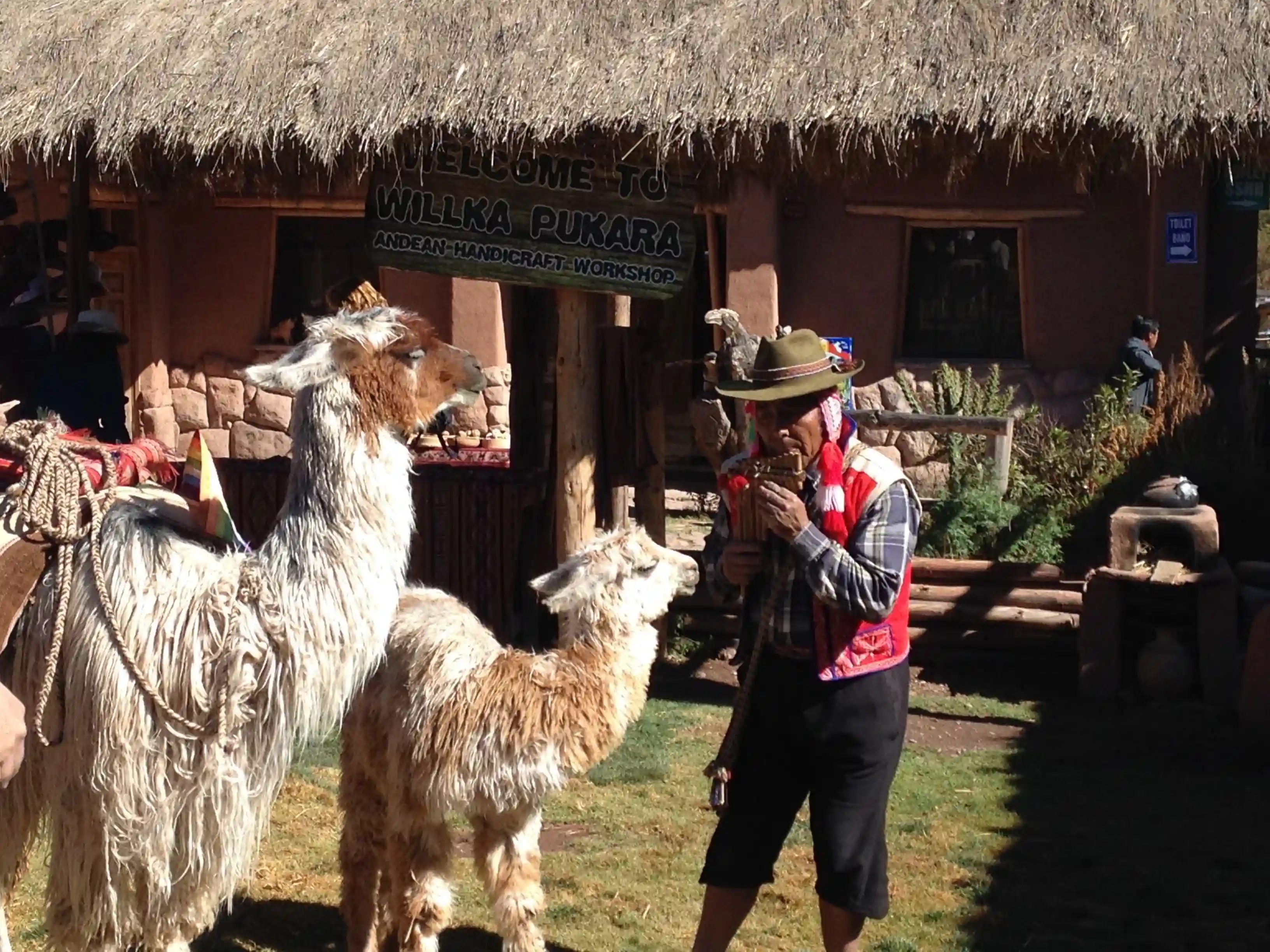 Rural Community Tourism in Sacred Valley
