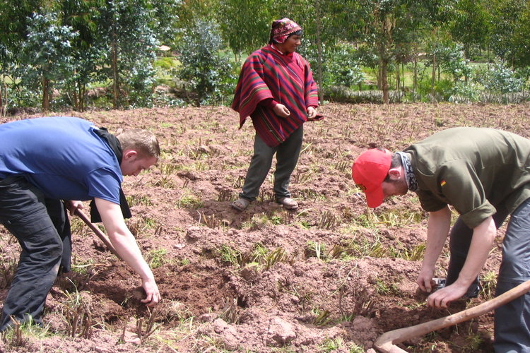 SOCIAL WORK IN ANDEAN COMMUNITIES
