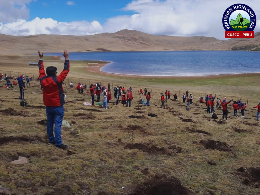 Programas de reforestación en zonas altoandinas del Cusco