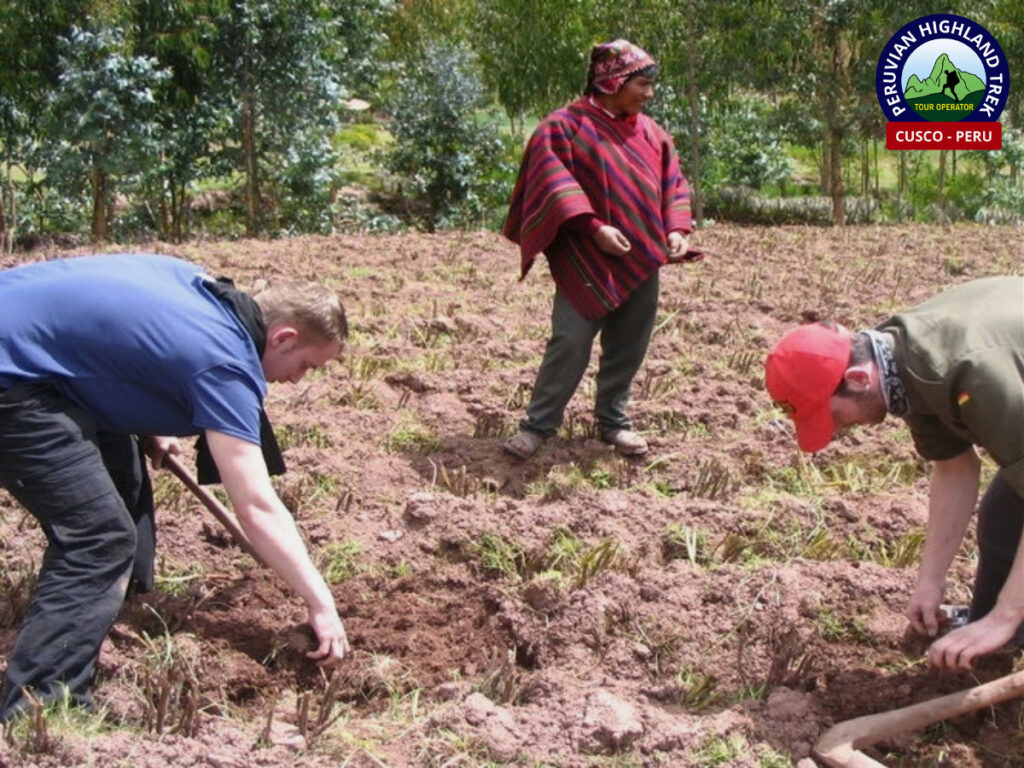 Programas de Voluntariado en Pongobamba